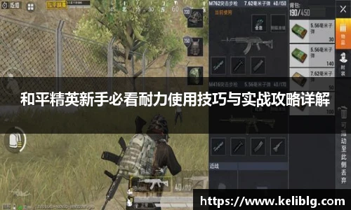 和平精英新手必看耐力使用技巧与实战攻略详解